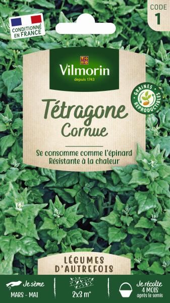 Potagères - Tétragone Cornue - Légumes d'Autrefois - PACKAGING_RECTO